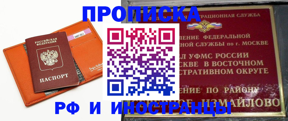 прописка поиск в Петропавловске-Камчатском